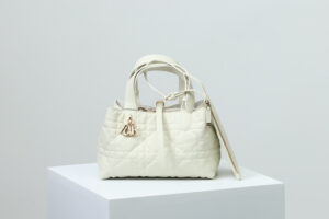 Dior Toujours Bag Small