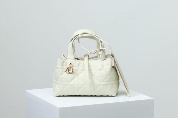 Dior Toujours Bag Small