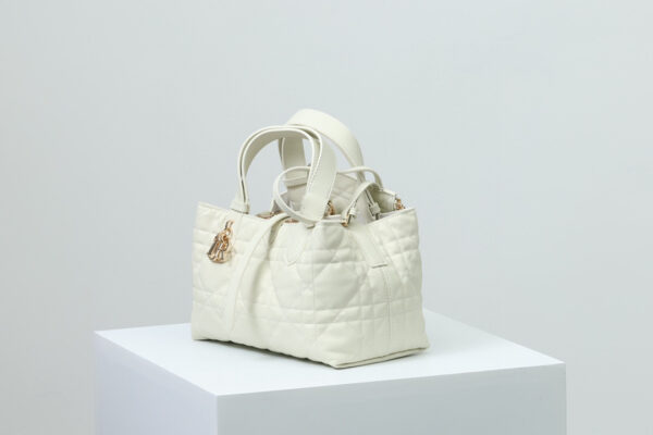 Dior Toujours Bag Small