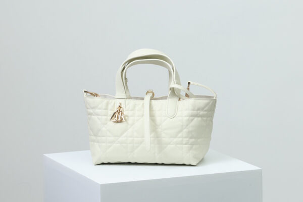 Dior Toujours Bag Small