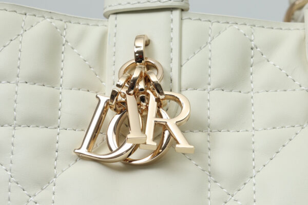 Dior Toujours Bag Small