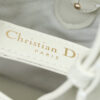Dior Toujours Bag Small