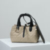 Dior Toujours Bag Small