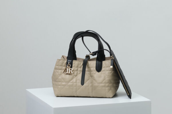 Dior Toujours Bag Small