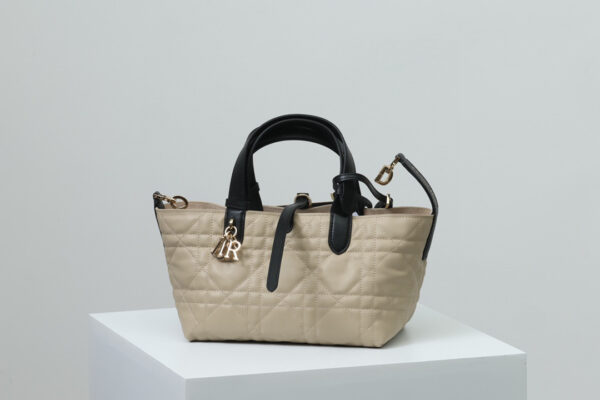 Dior Toujours Bag Small