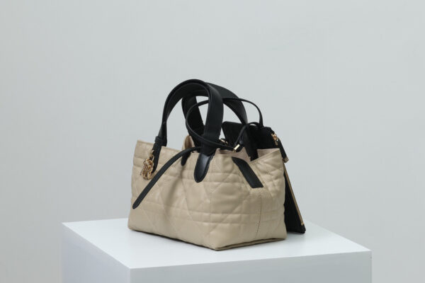 Dior Toujours Bag Small