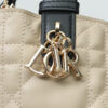 Dior Toujours Bag Small