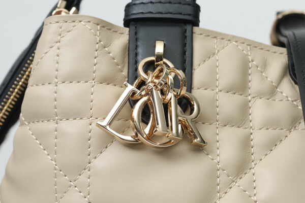 Dior Toujours Bag Small