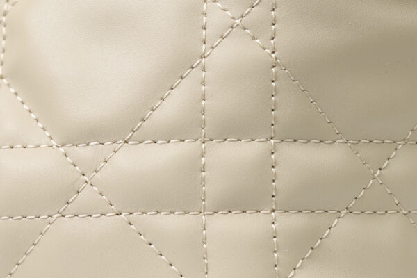 Dior Toujours Bag Small