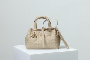 Dior Toujours Bag Small