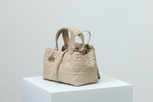 Dior Toujours Bag Small