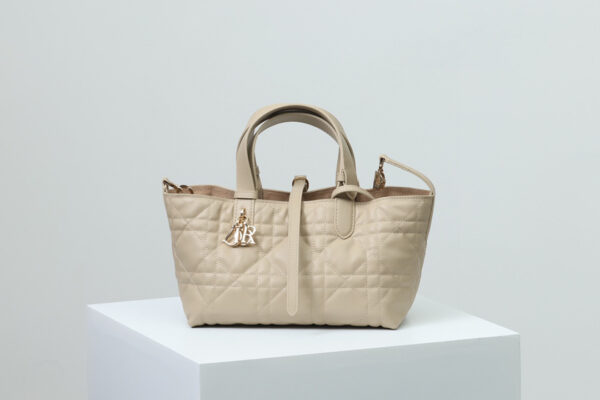 Dior Toujours Bag Small
