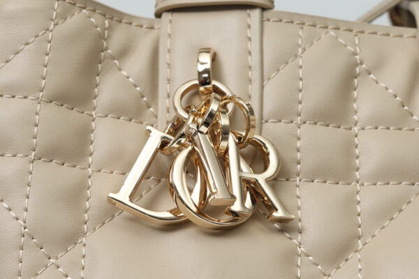 Dior Toujours Bag Small
