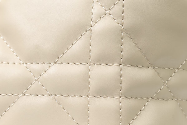 Dior Toujours Bag Small