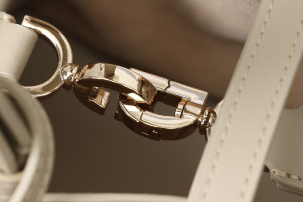 Dior Toujours Bag Small