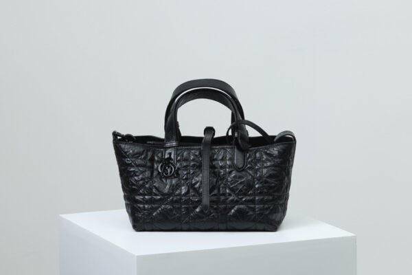 Dior Toujours Bag Small