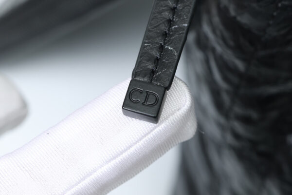 Dior Toujours Bag Small