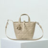 Small Dior Toujours Vertical Tote Bag