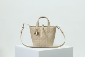 Small Dior Toujours Vertical Tote Bag