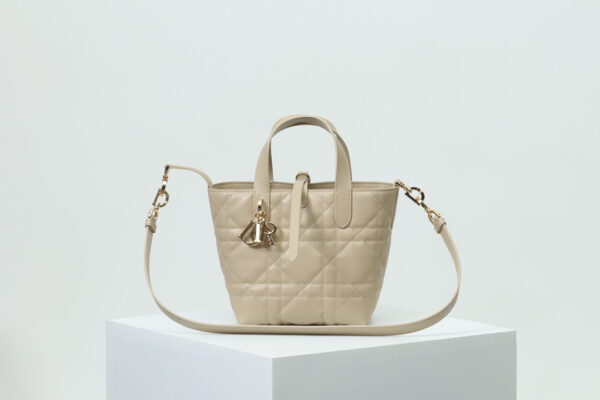Small Dior Toujours Vertical Tote Bag