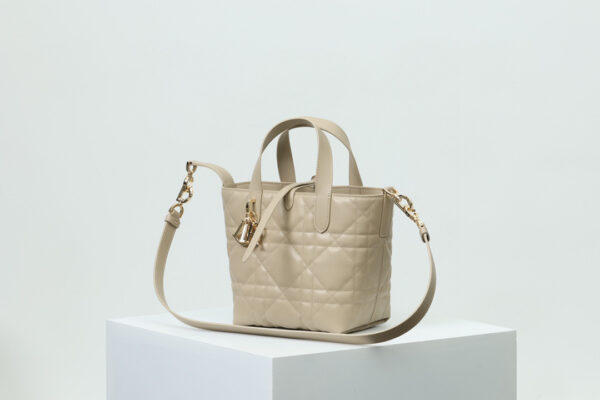 Small Dior Toujours Vertical Tote Bag