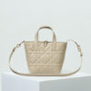 Small Dior Toujours Vertical Tote Bag