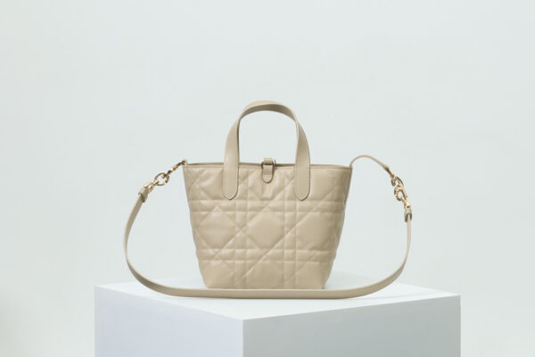 Small Dior Toujours Vertical Tote Bag