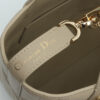 Small Dior Toujours Vertical Tote Bag