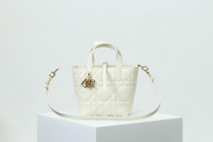 Small Dior Toujours Vertical Tote Bag