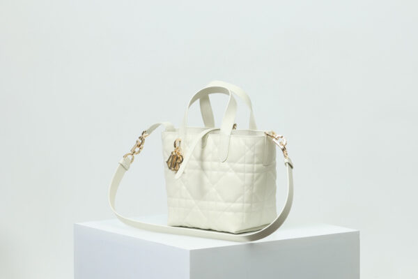 Small Dior Toujours Vertical Tote Bag