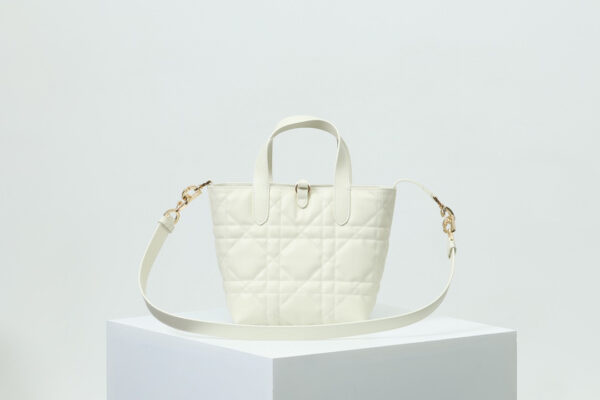 Small Dior Toujours Vertical Tote Bag