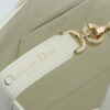 Small Dior Toujours Vertical Tote Bag