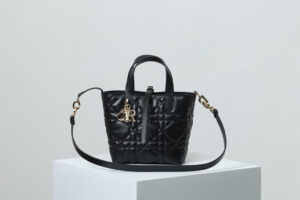 Small Dior Toujours Vertical Tote Bag