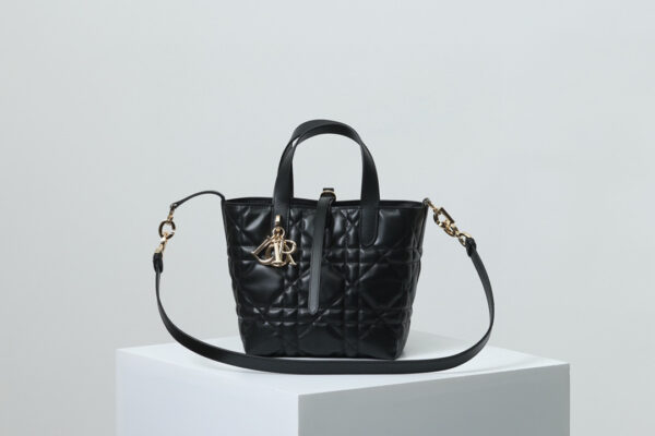 Small Dior Toujours Vertical Tote Bag