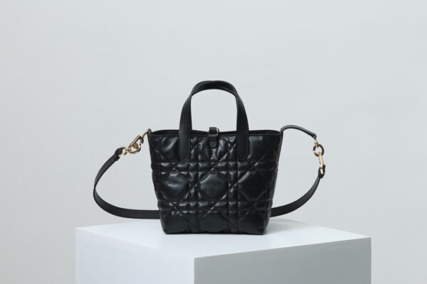 Small Dior Toujours Vertical Tote Bag
