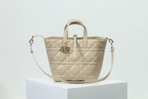 Medium Dior Toujours Vertical Tote Bag