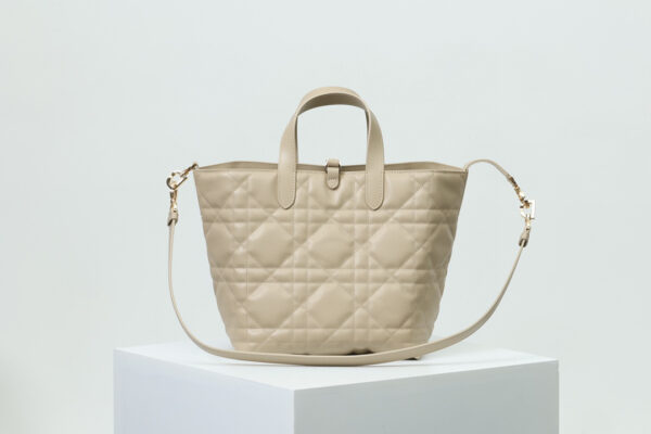 Medium Dior Toujours Vertical Tote Bag