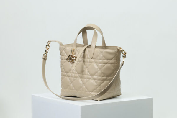 Medium Dior Toujours Vertical Tote Bag