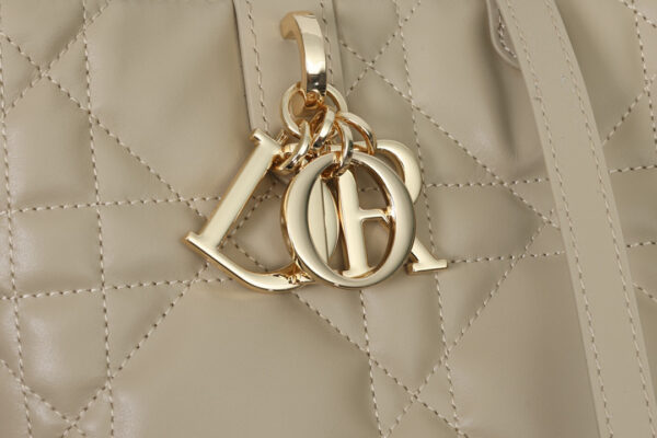 Medium Dior Toujours Vertical Tote Bag