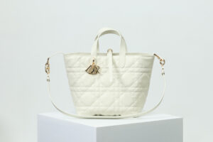 Medium Dior Toujours Vertical Tote Bag