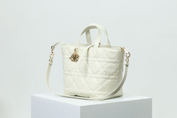 Medium Dior Toujours Vertical Tote Bag