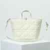 Medium Dior Toujours Vertical Tote Bag