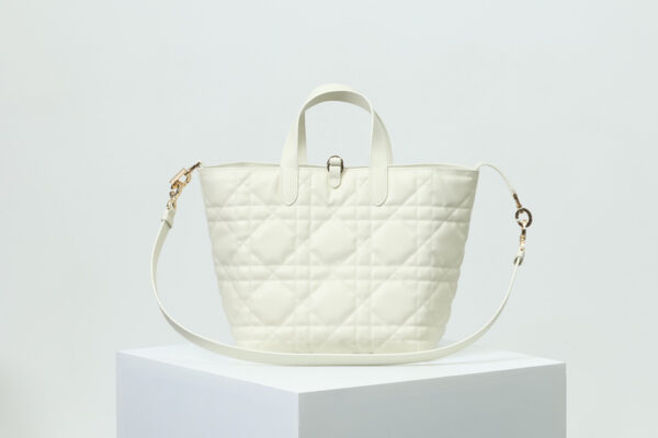 Medium Dior Toujours Vertical Tote Bag