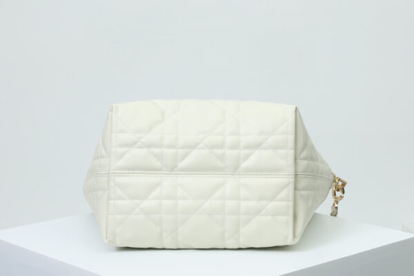 Medium Dior Toujours Vertical Tote Bag