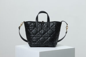 Medium Dior Toujours Vertical Tote Bag