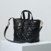 Medium Dior Toujours Vertical Tote Bag