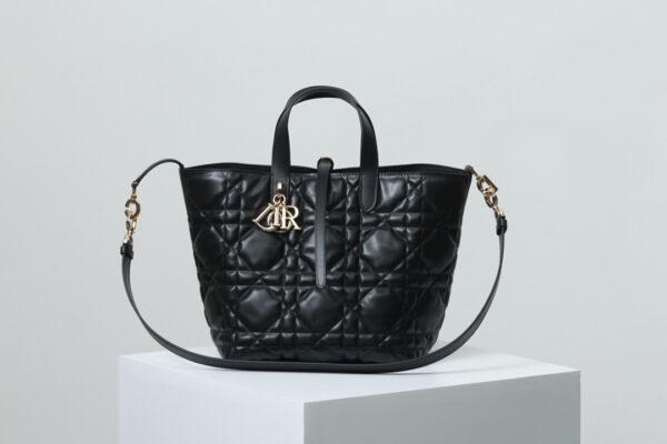 Medium Dior Toujours Vertical Tote Bag