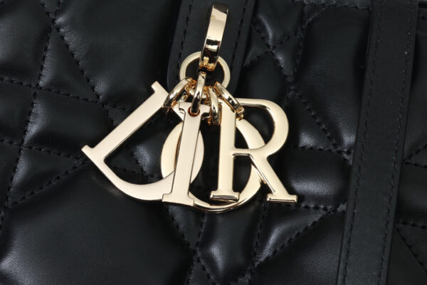 Medium Dior Toujours Vertical Tote Bag