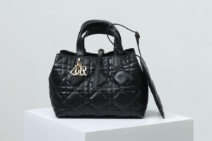 Medium Dior Toujours Bag