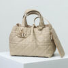 Medium Dior Toujours Bag